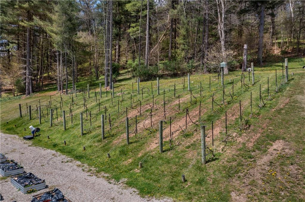 527 Claylick Road Holbrook, PA 15341 - Photo 22 of 24