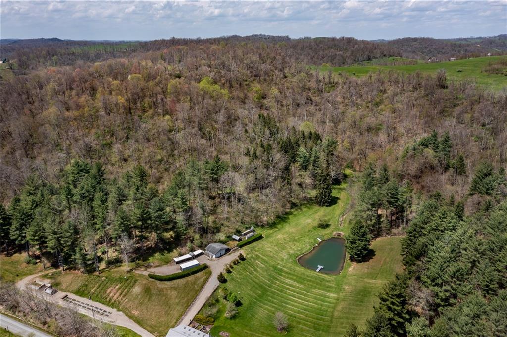 527 Claylick Road Holbrook, PA 15341 - Photo 24 of 24 a view of a lush green forest with trees