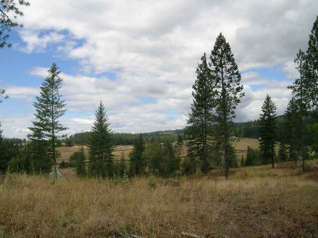 0 Phay Road, Unit LOT 1C Elk, WA 99009 - Photo 1 of 5 Gallery Image 1