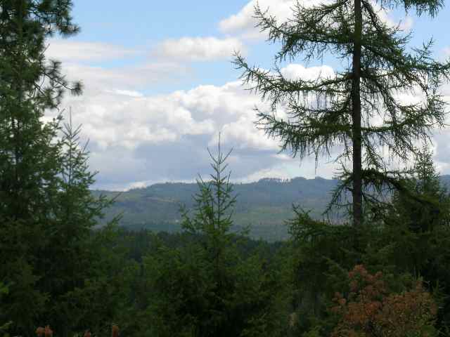 0 Phay Road, Unit LOT 1C Elk, WA 99009 - Photo 2 of 5 Gallery Image 2