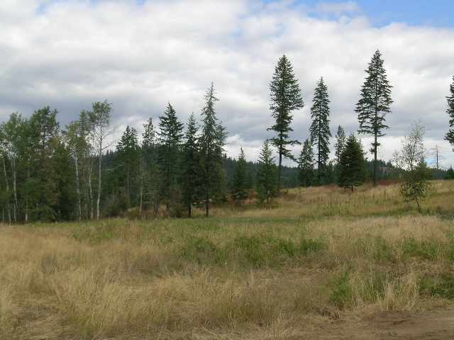 0 Phay Road, Unit LOT 1C Elk, WA 99009 - Photo 4 of 5 Gallery Image 4