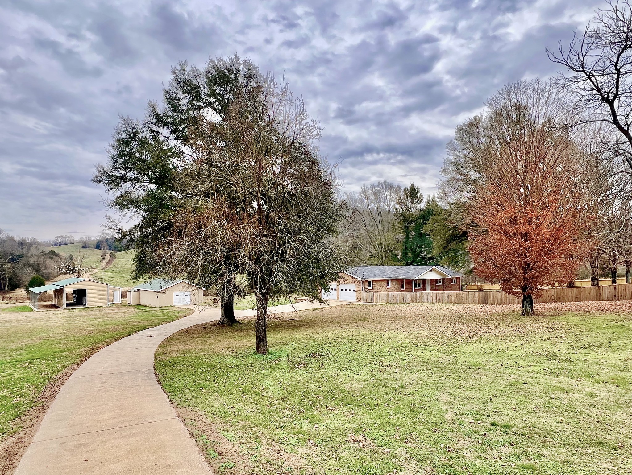 a view of a park with large trees