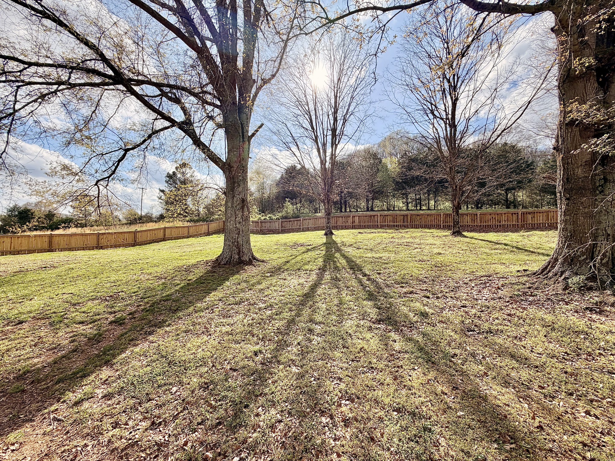 1595 Hurricane Creek Road Lawrenceburg, TN 38464 - Photo 12 of 74