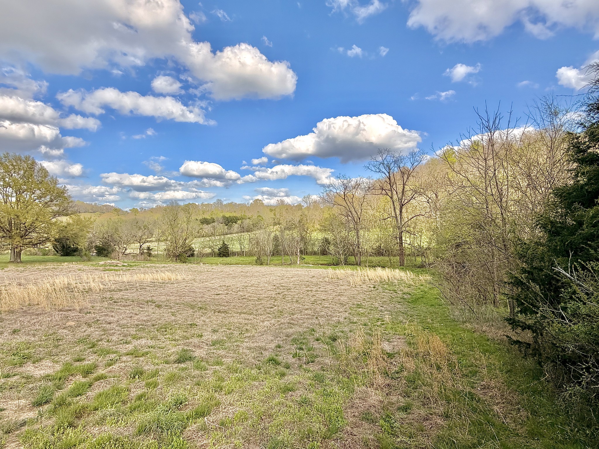 1595 Hurricane Creek Road Lawrenceburg, TN 38464 - Photo 3 of 74