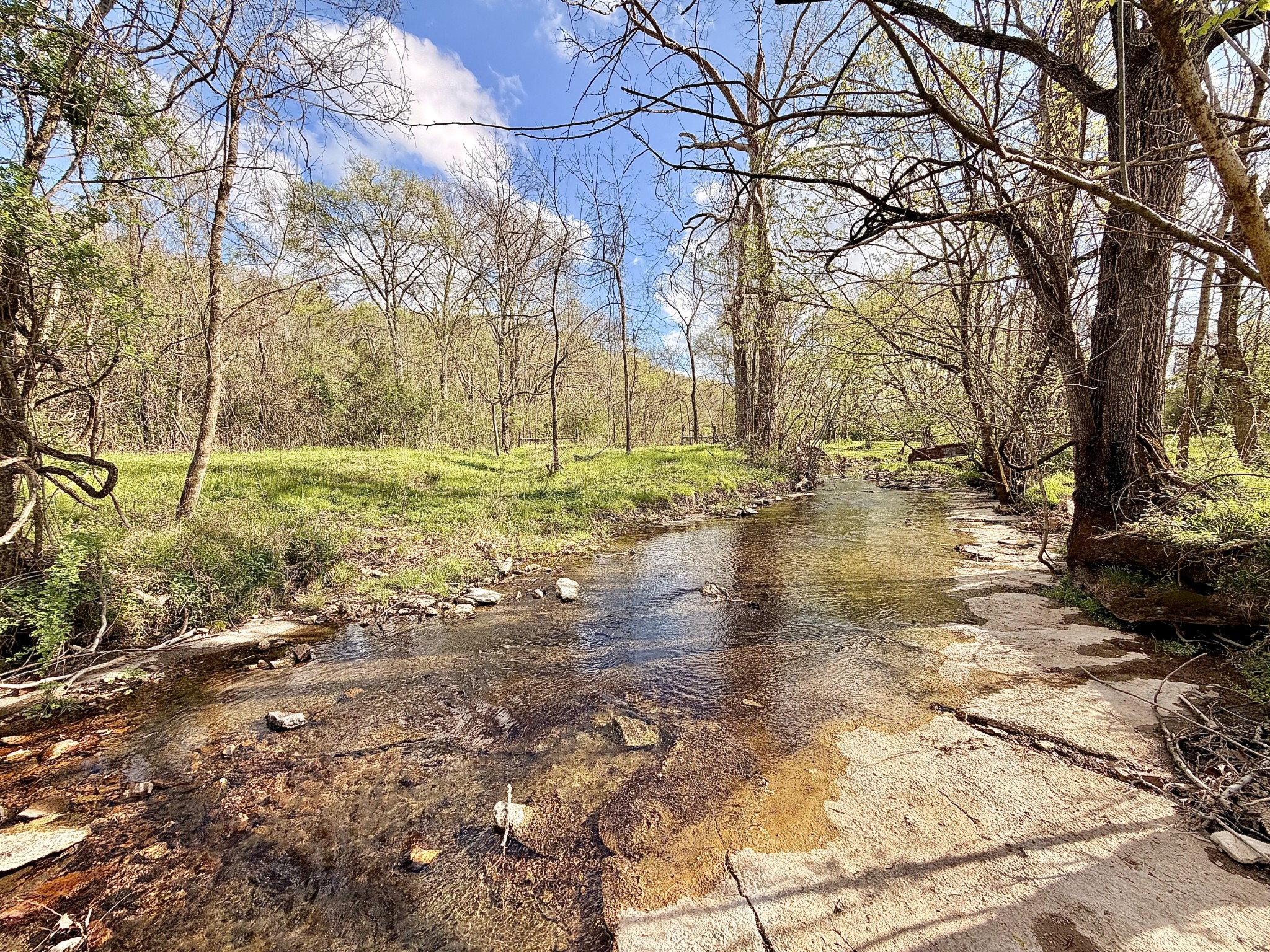 1595 Hurricane Creek Road Lawrenceburg, TN 38464 - Photo 4 of 74