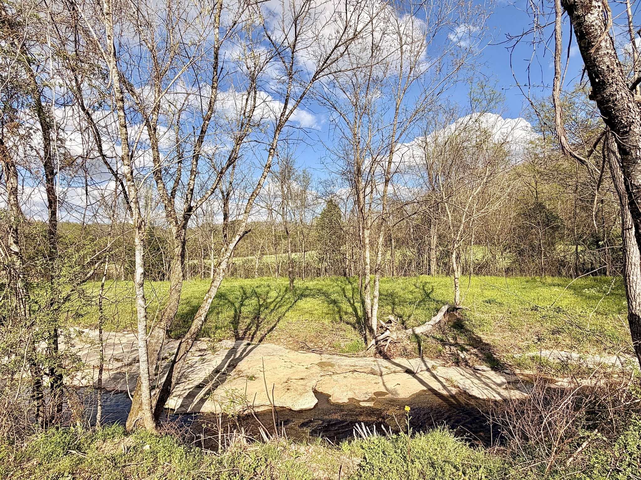 1595 Hurricane Creek Road Lawrenceburg, TN 38464 - Photo 54 of 74