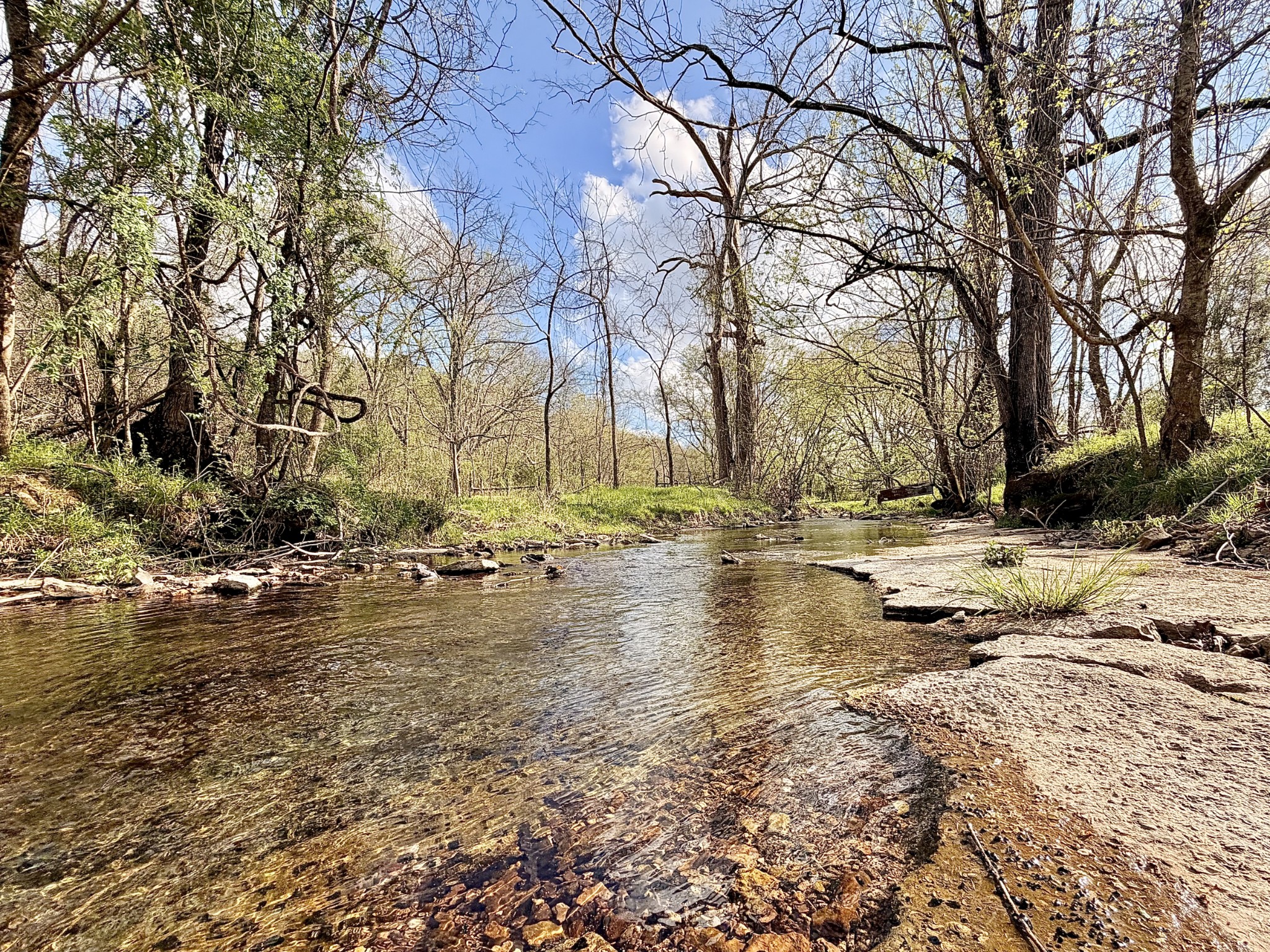 1595 Hurricane Creek Road Lawrenceburg, TN 38464 - Photo 55 of 74