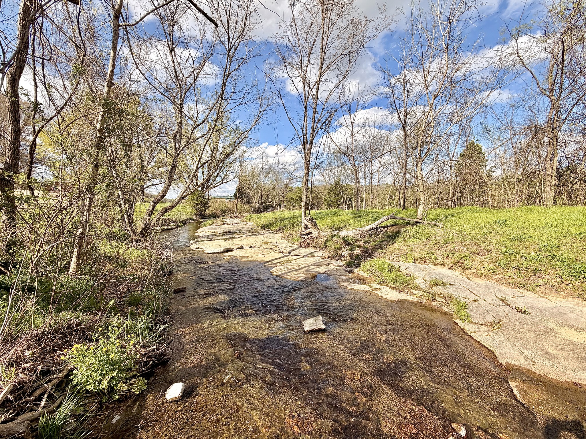 1595 Hurricane Creek Road Lawrenceburg, TN 38464 - Photo 56 of 74