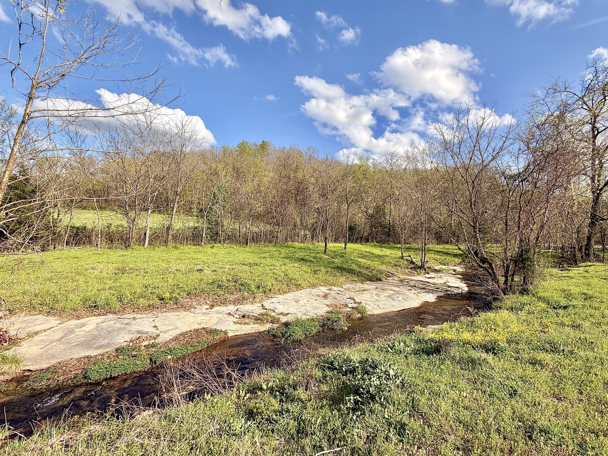 1595 Hurricane Creek Road Lawrenceburg, TN 38464 - Photo 58 of 74