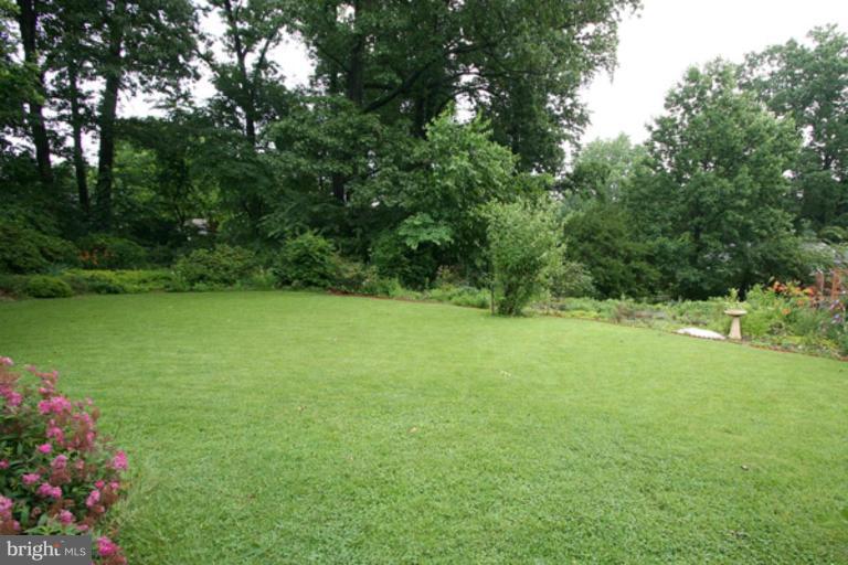 1603 Sherwood Road Silver Spring, MD 20902 - Photo 6 of 7 Back yard