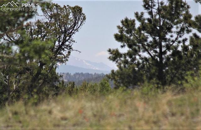159 Emerald Way Lake George, CO 80827 - Photo 14 of 26 Gallery Image 14