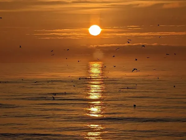 $3,450,000 | 2201 South Waccamaw Drive, Murrells Inlet, SC 29576