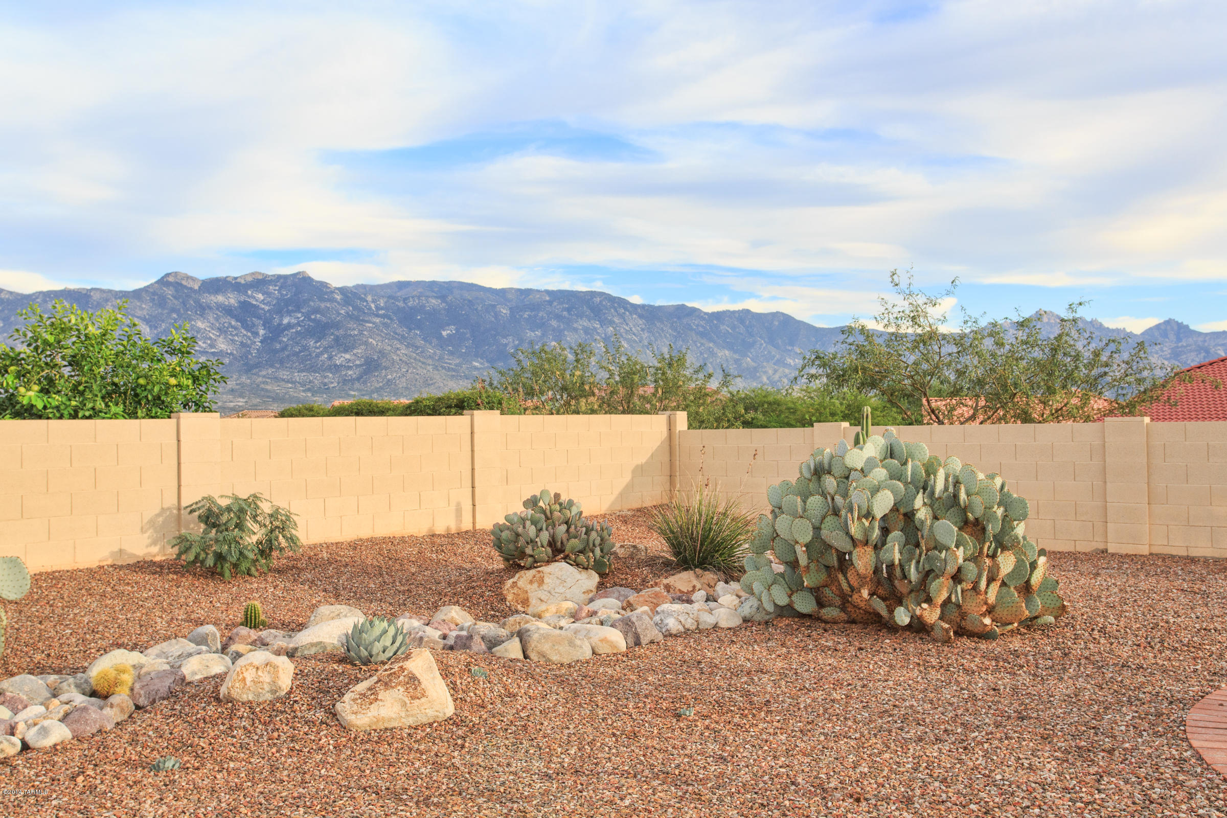 61811 East Sandlewood Road Tucson, AZ 85739 - Photo 26 of 26