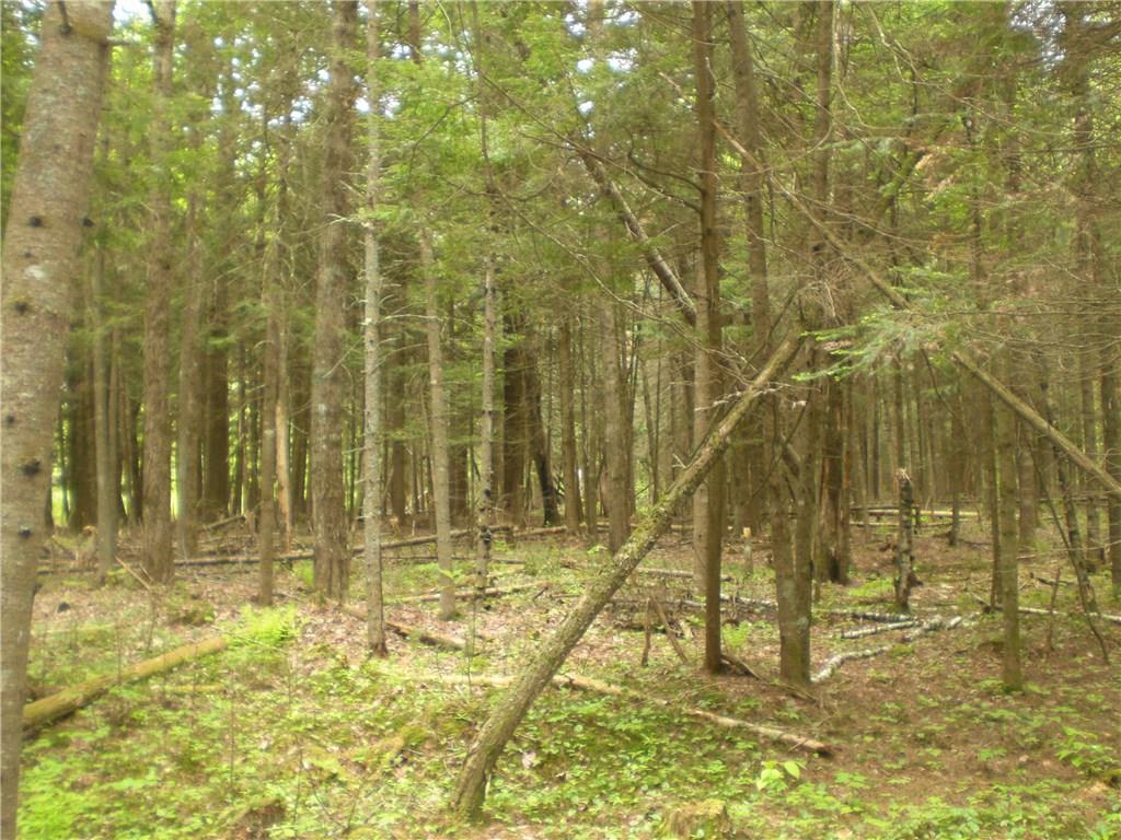 0 Johnson Flat Road Burnham, ME 04922 - Photo 6 of 6 Photo