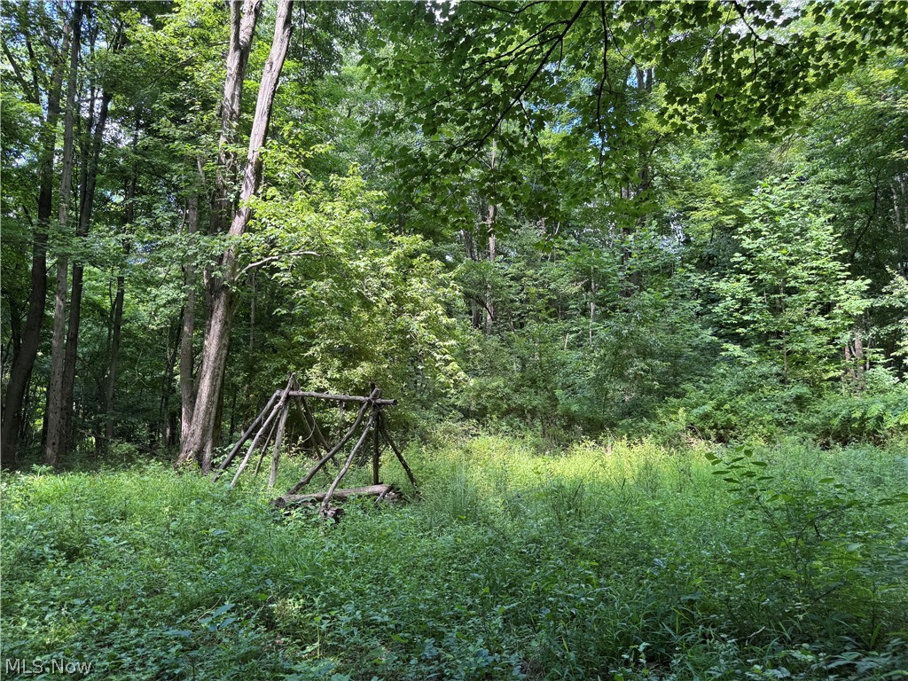 4 Chillicothe Road Novelty, OH 44072 - Photo 18 of 41