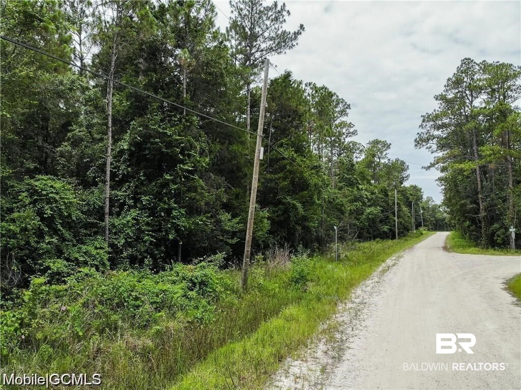 0 Bass Drive Theodore, AL 36582 - Photo 6 of 15