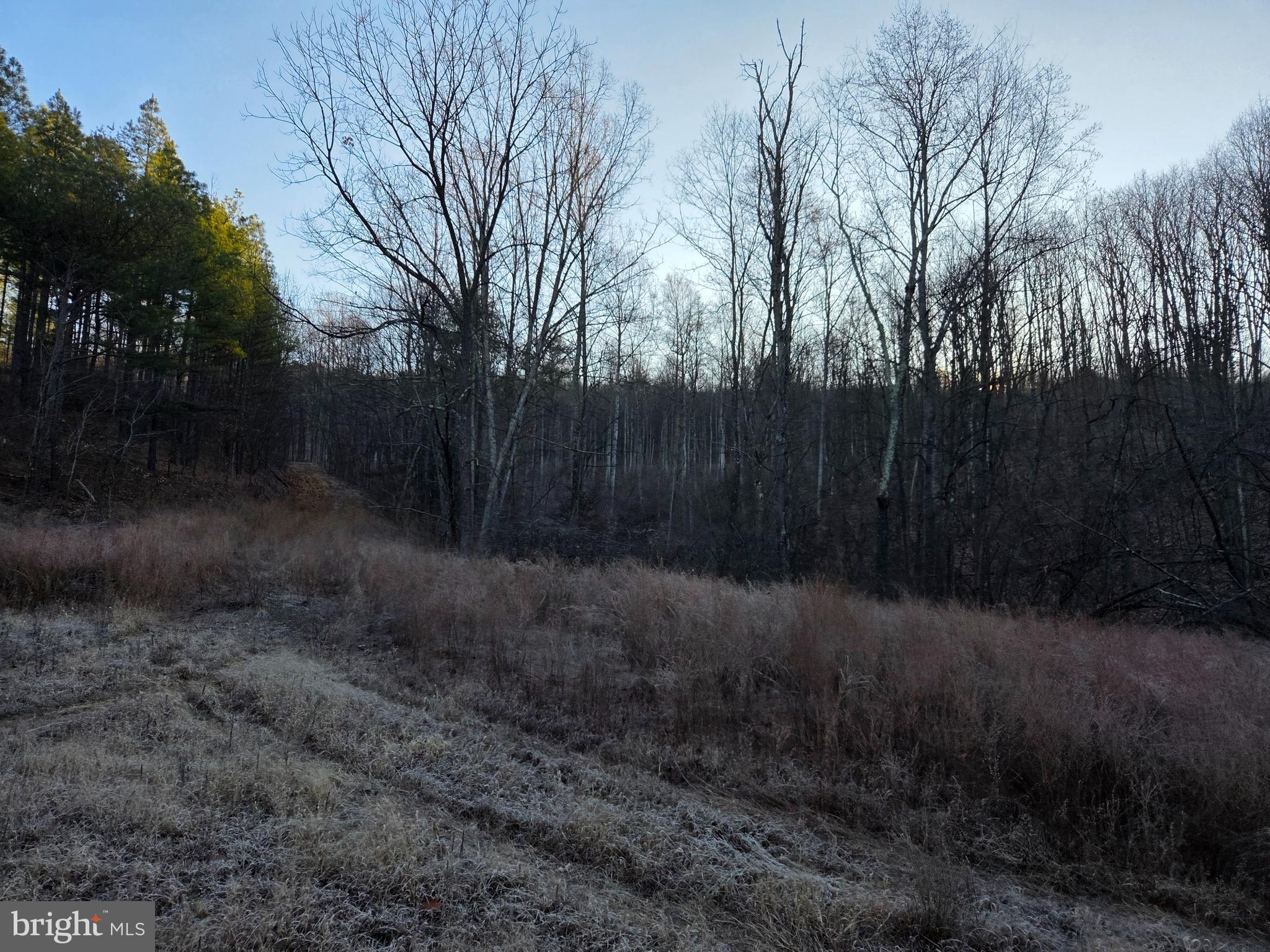 0 Log Cabin Road Fort Littleton, PA 17223 - Photo 11 of 17 Gallery Image 11