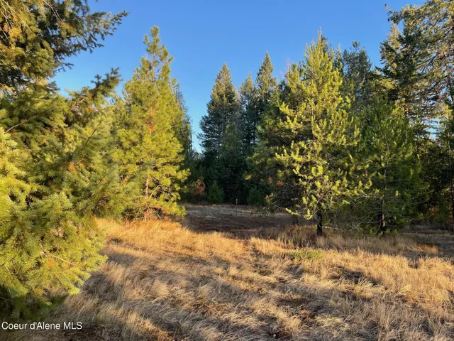 $325,000 | Nka North Hope Valley Road, Rathdrum, ID 83858