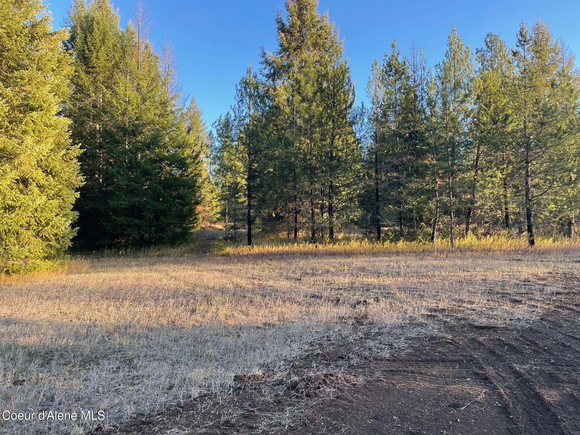 Nka North Hope Valley Road Rathdrum, ID 83858 - Photo 3 of 7 Level, open