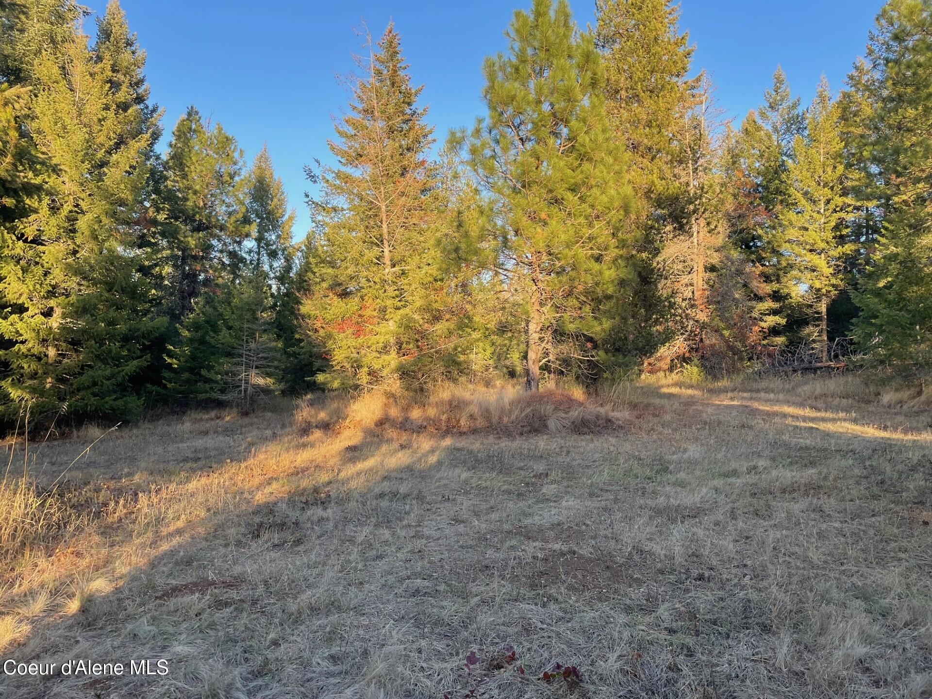 Nka North Hope Valley Road Rathdrum, ID 83858 - Photo 6 of 7 Plenty of privacy