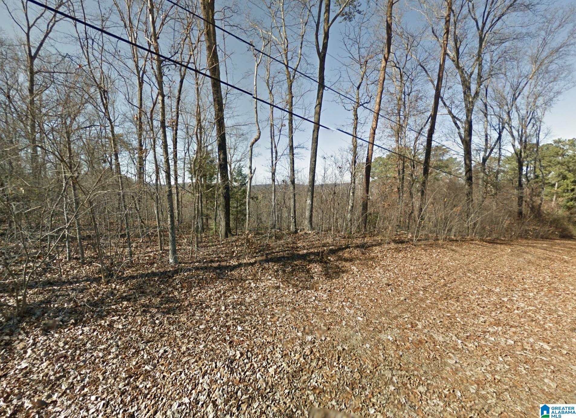 5317 Dug Hollow Road, Unit 1 Pinson, AL 35126 - Photo 2 of 6