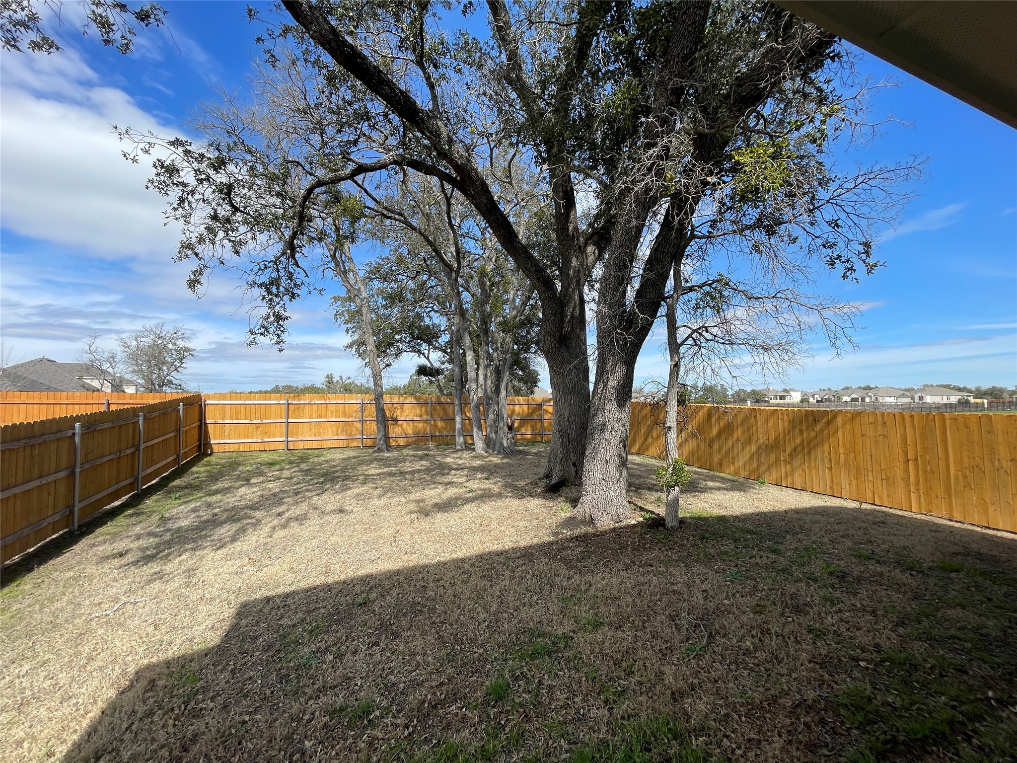 217 Coda Crossing Georgetown, TX 78633 - Photo 16 of 18