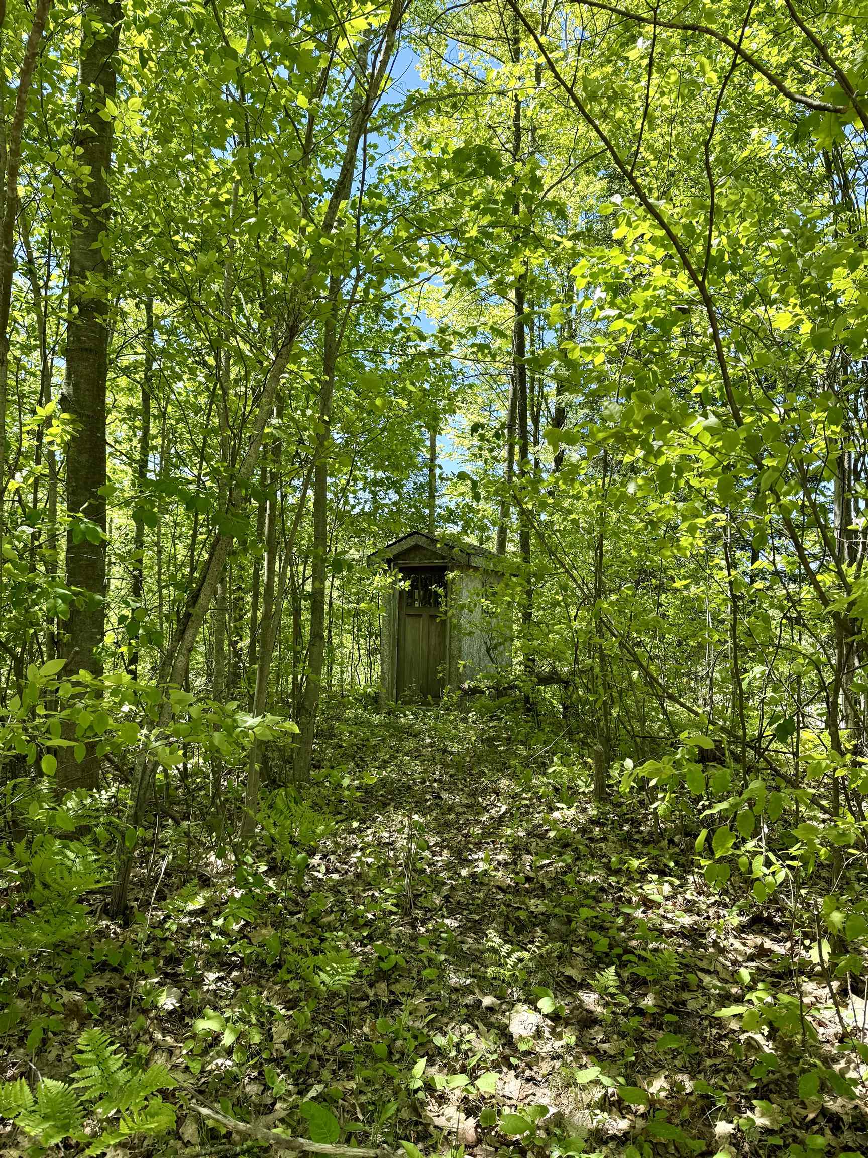 0 Ora Lake Road Hale, MI 48739 - Photo 14 of 22