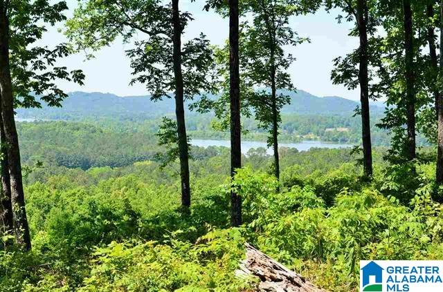 131 Hickory Ridge Drive Gadsden, AL 35905 - Photo 35 of 42