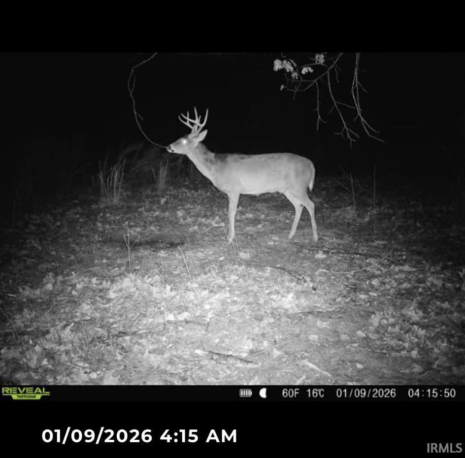1 Beech Tree Road Nineveh, IN 46164 - Photo 3 of 15