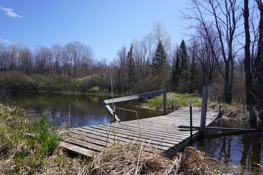 60-acres Meier Road Ogema, WI 54459 - Photo 8 of 18 Gallery Image 8