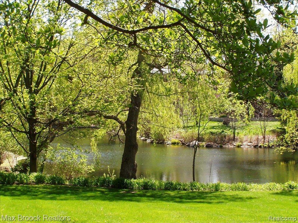 1099 Orchard Ridge Road Bloomfield Hills, MI 48304 - Photo 20 of 25 Lush Landscaping Everywhere