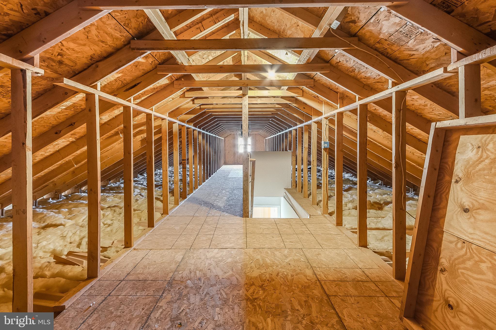 30147 Regatta Bay Boulevard Lewes, DE 19958 - Photo 63 of 74 Spacious attic use for storage or finished space