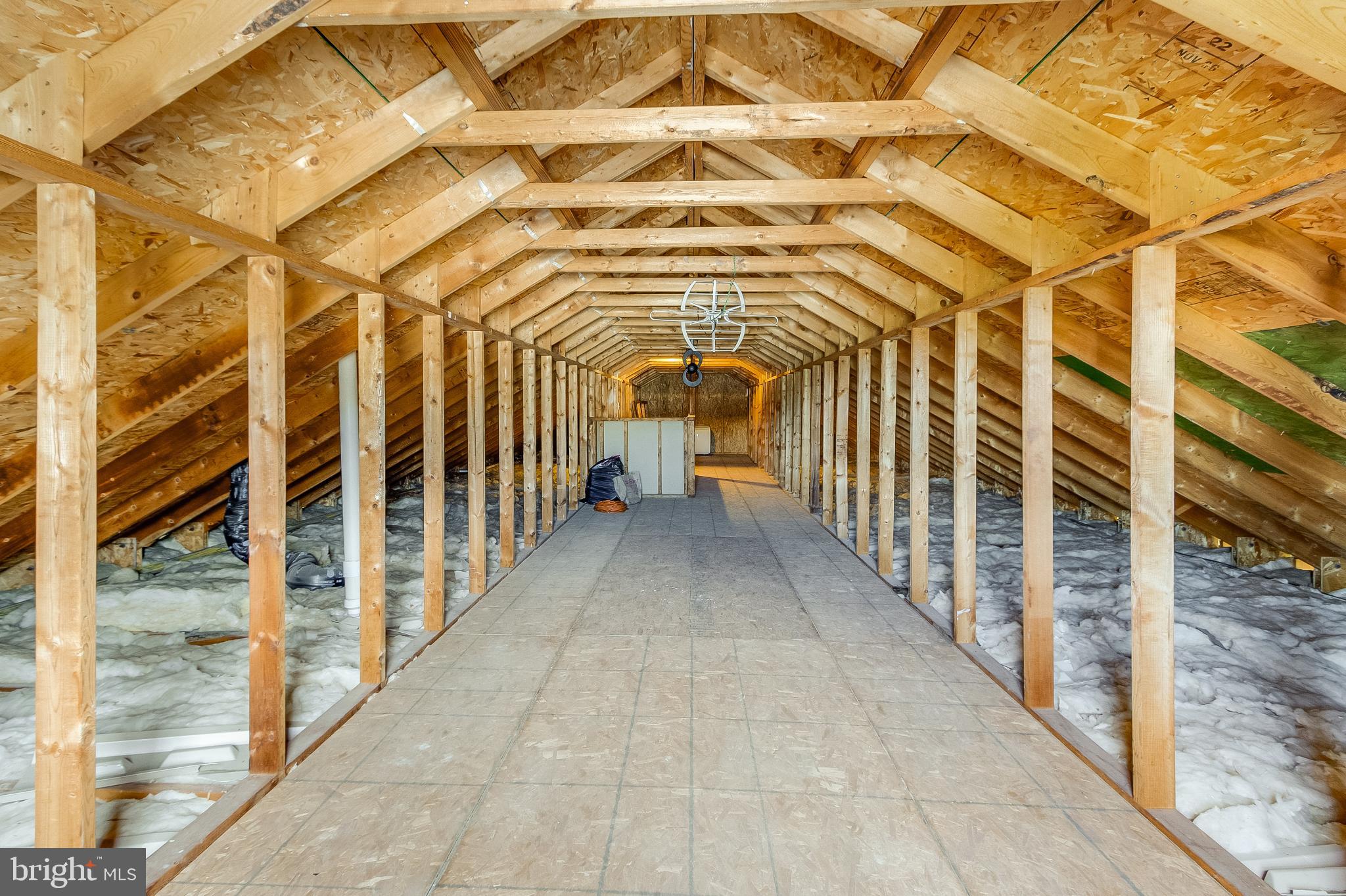 30147 Regatta Bay Boulevard Lewes, DE 19958 - Photo 65 of 74 Walk up attic.