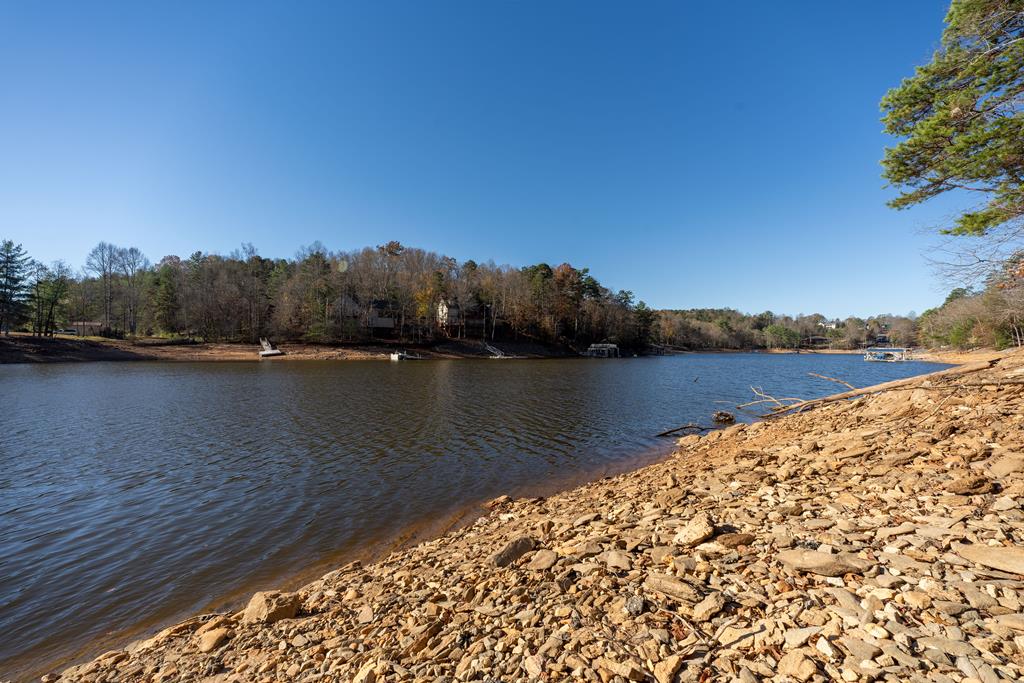 427 Piney Point Road Blairsville, GA 30512 - Photo 68 of 69 Gallery Image 68