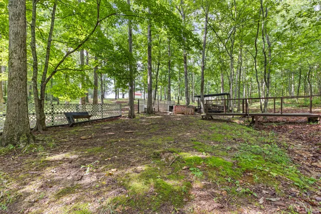 a backyard of a house with lots of green space