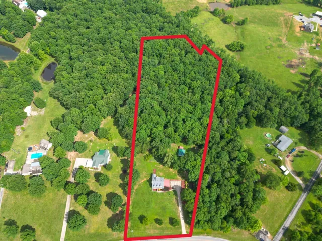 a close up of a flower in a garden