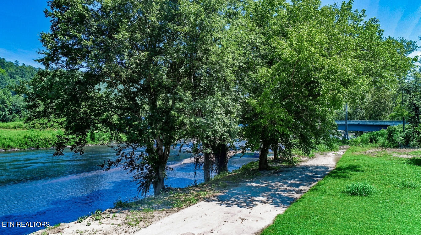 151 Highway 107 Del Rio, TN 37727 - Photo 23 of 41 23ai