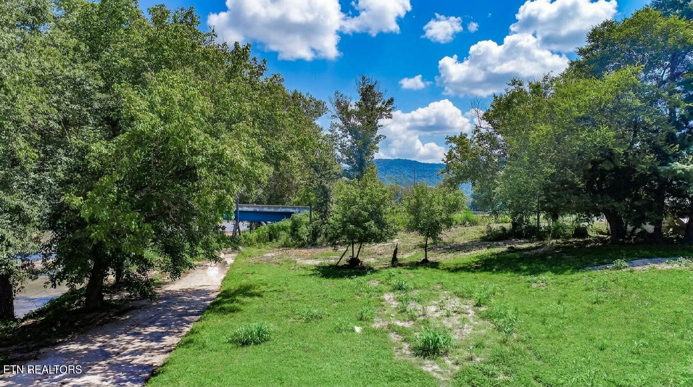 151 Highway 107 Del Rio, TN 37727 - Photo 24 of 41 24ai