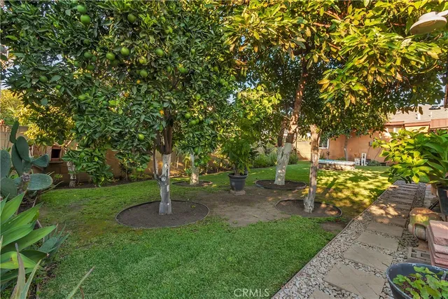 a view of a garden with a tree