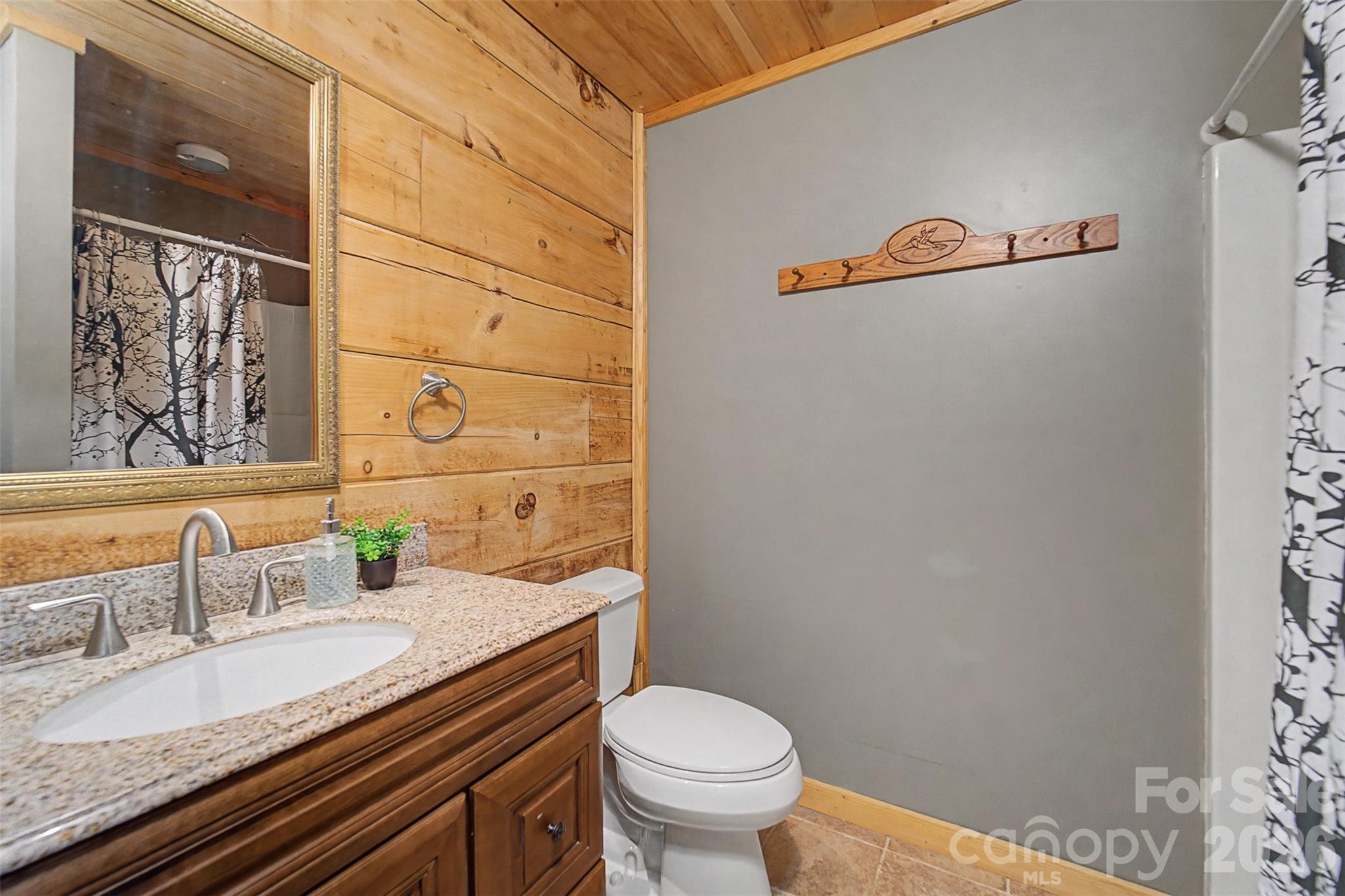 170 Wilkes Road Bryson City, NC 28713 - Photo 19 of 47 a bathroom with a granite countertop sink and a mirror