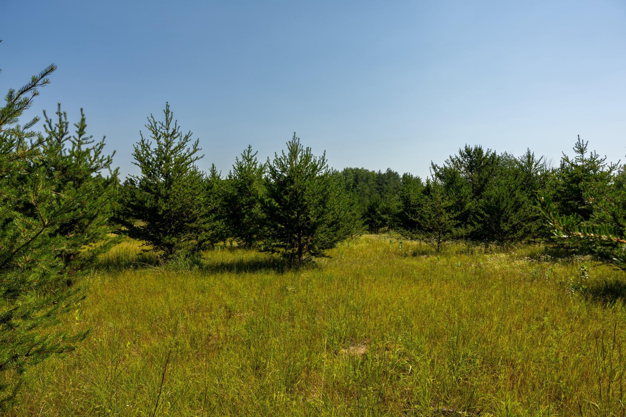Tract 1-tbd Hubbard Line Road Menahga, MN 56464 - Photo 28 of 57 Gallery Image 28