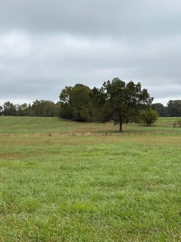 $374,000 | 0 Meadow Lane, Washington, GA 30673