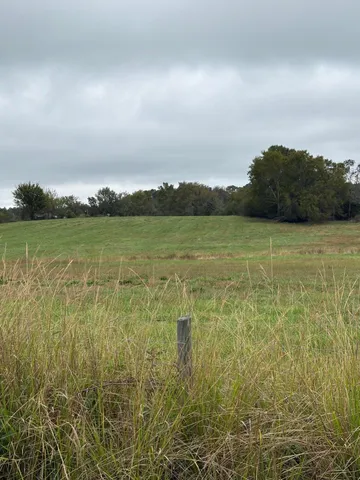 $374,000 | 0 Meadow Lane, Washington, GA 30673