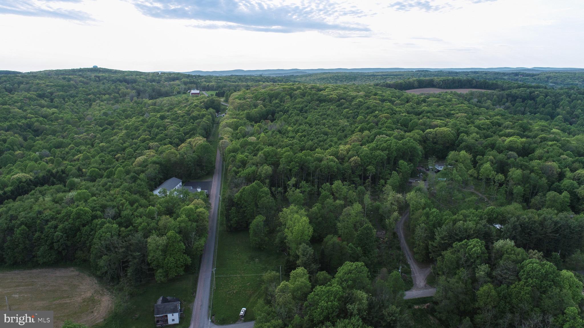 Greengables Road Friendsville, MD 21531 - Photo 9 of 18 a view of a forest with a street
