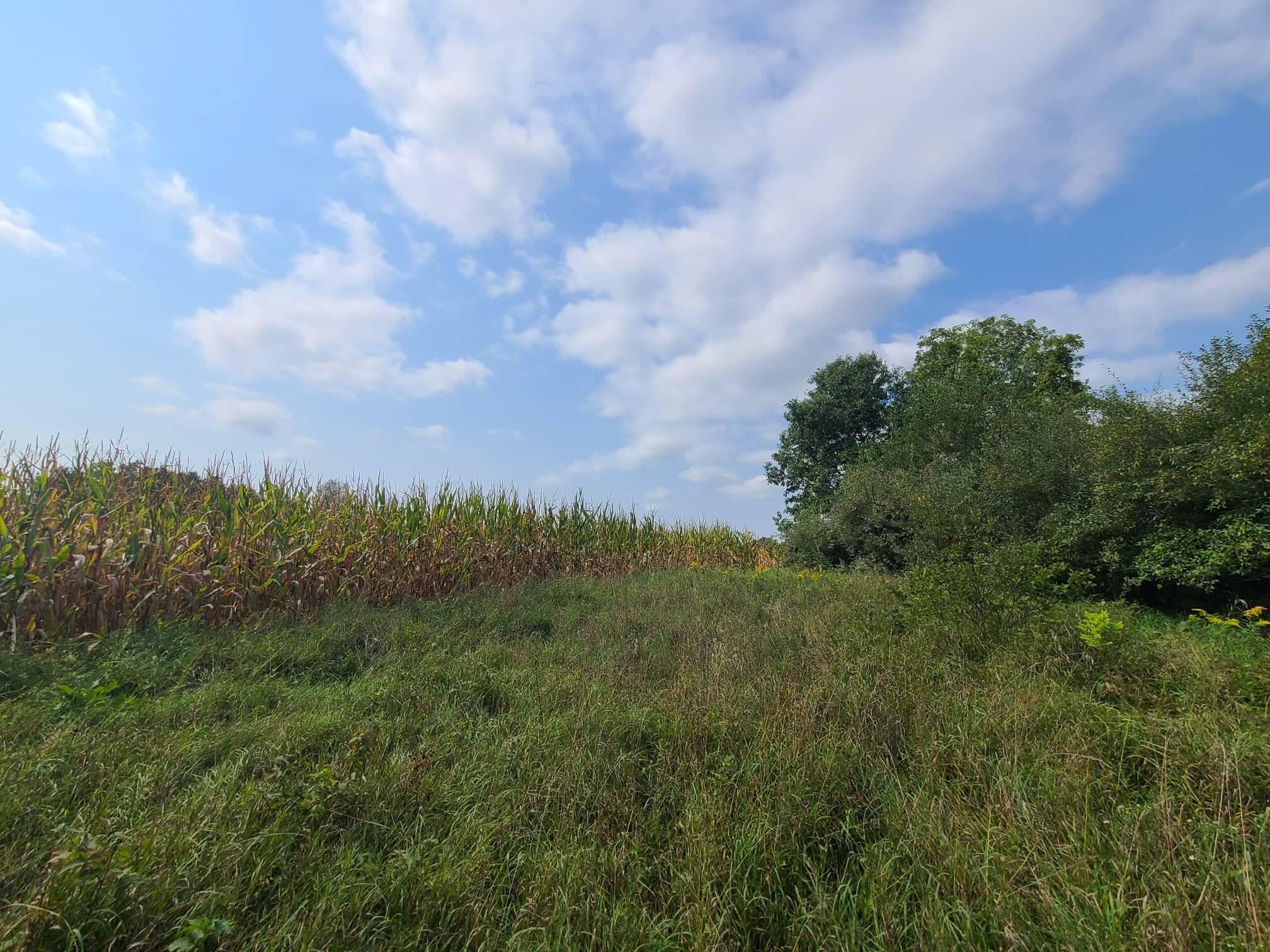 800 Tuttle Road Union City, MI 49094 - Photo 26 of 34 241283492_908149050086455_88945444049674