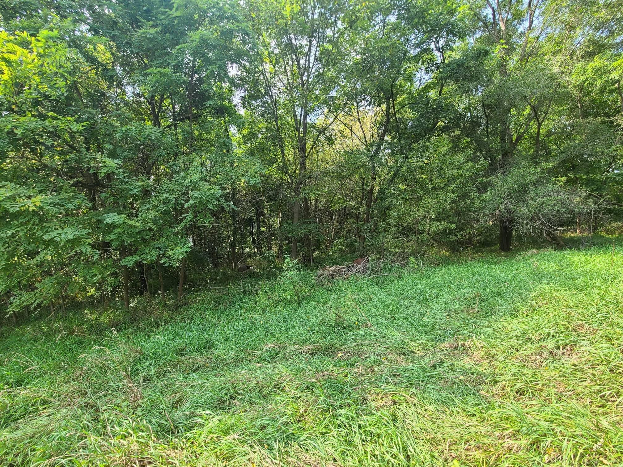 800 Tuttle Road Union City, MI 49094 - Photo 30 of 34 241260971_167396445455010_38611865810642