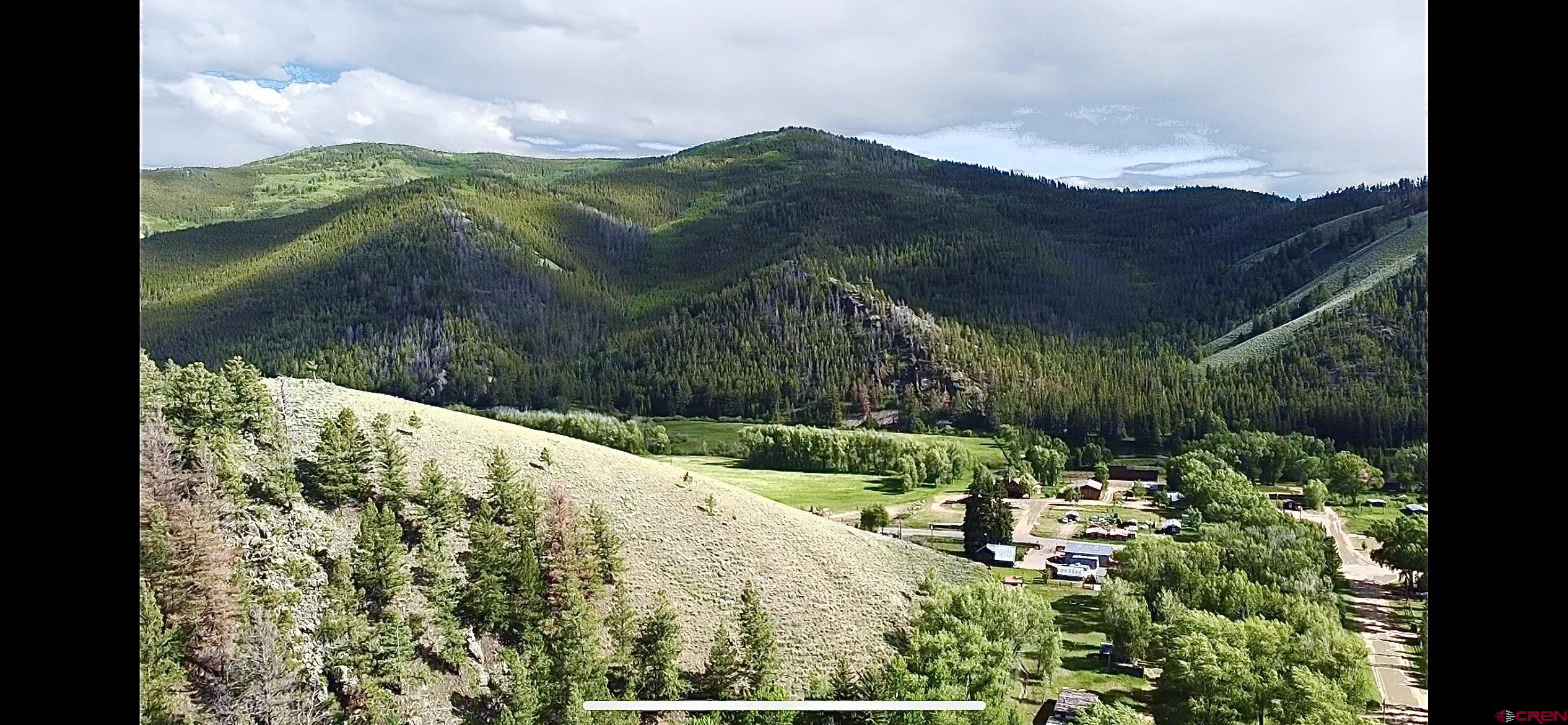 48 County Road 771 Ohio City, CO 81237 - Photo 17 of 31 a view of a yard with plants