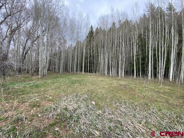 48 County Road 771 Ohio City, CO 81237 - Photo 19 of 31 a view of outdoor space with green space