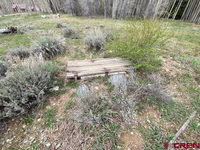 48 County Road 771 Ohio City, CO 81237 - Photo 20 of 31 a backyard of a house with a yard and large tree