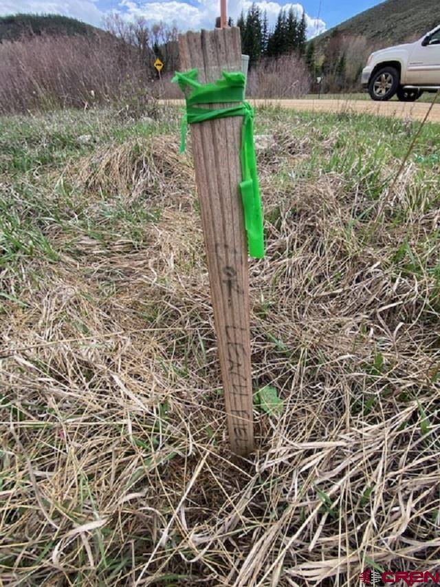 48 County Road 771 Ohio City, CO 81237 - Photo 23 of 31 a view of a yard with plants and wooden fence